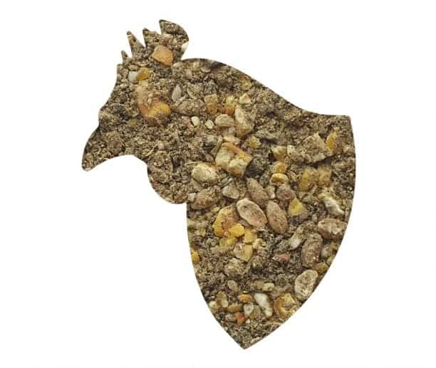 10660 dedekles birus