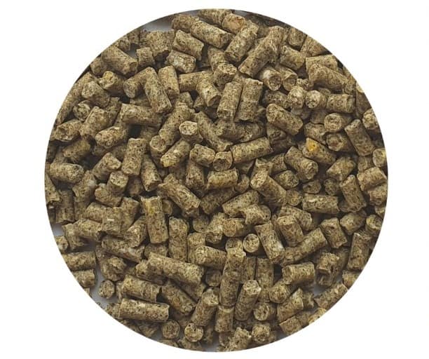 11233,11333 kalakuciukai I II p