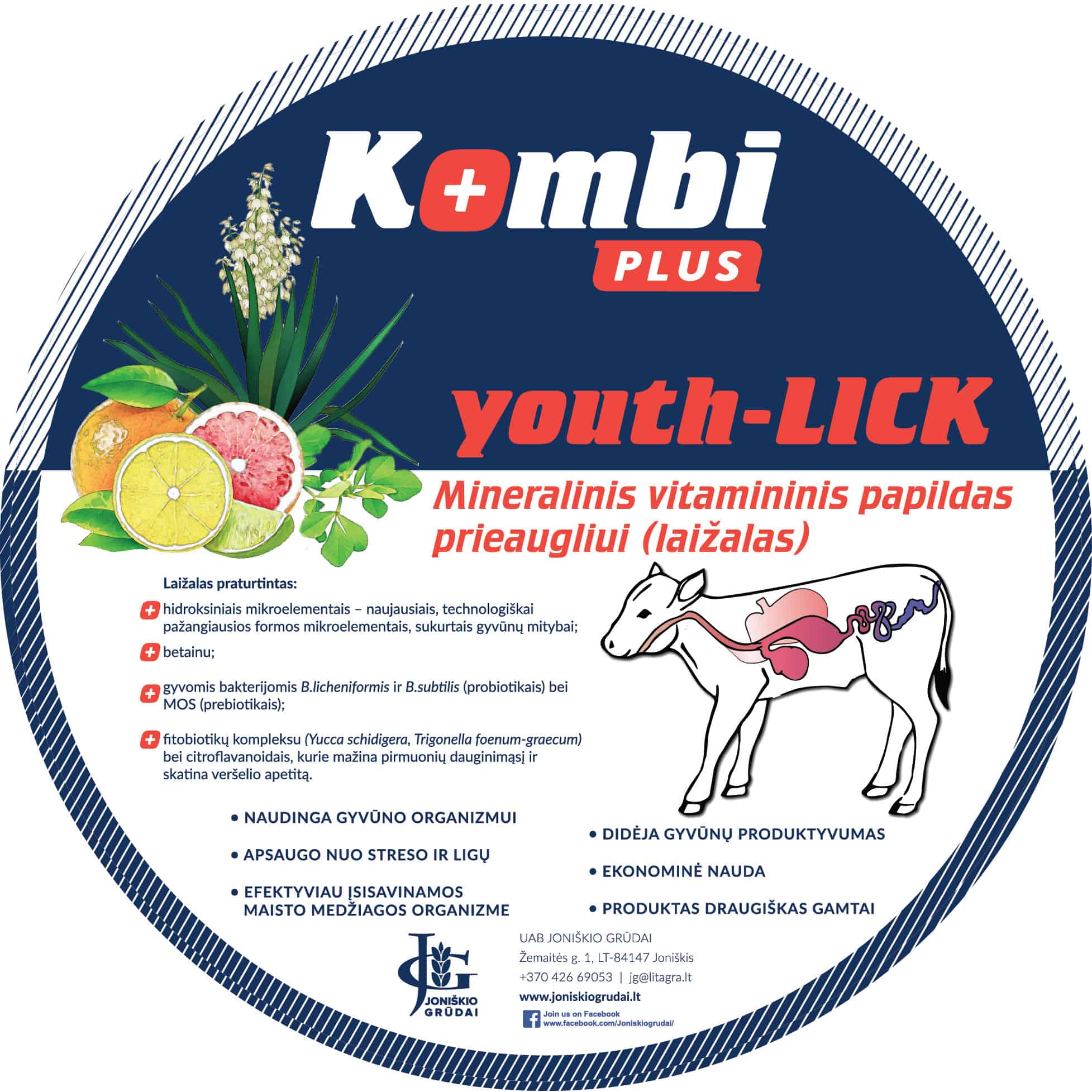 Laizalas youth_lick verseliams
