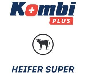 Hidroxy trace mineral and vitamin supplement for the growing stock KOMBI PLUS HEIFER SUPER