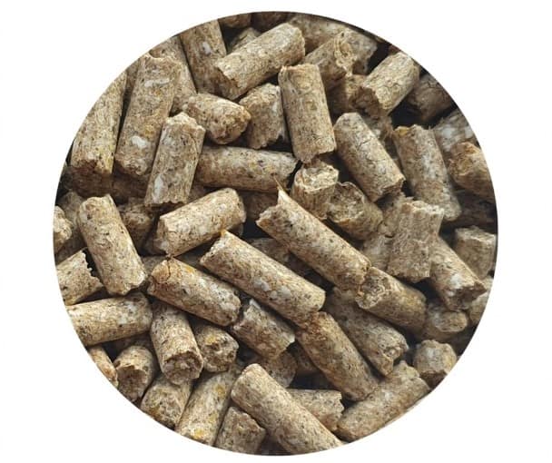 15844 penimoms kiaulėms