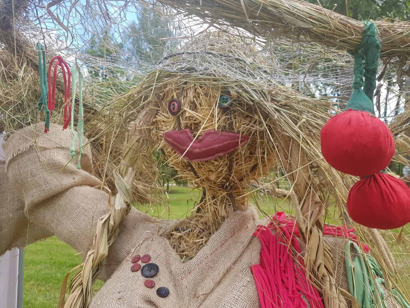 Žagarės vyšnių festivalis 2020